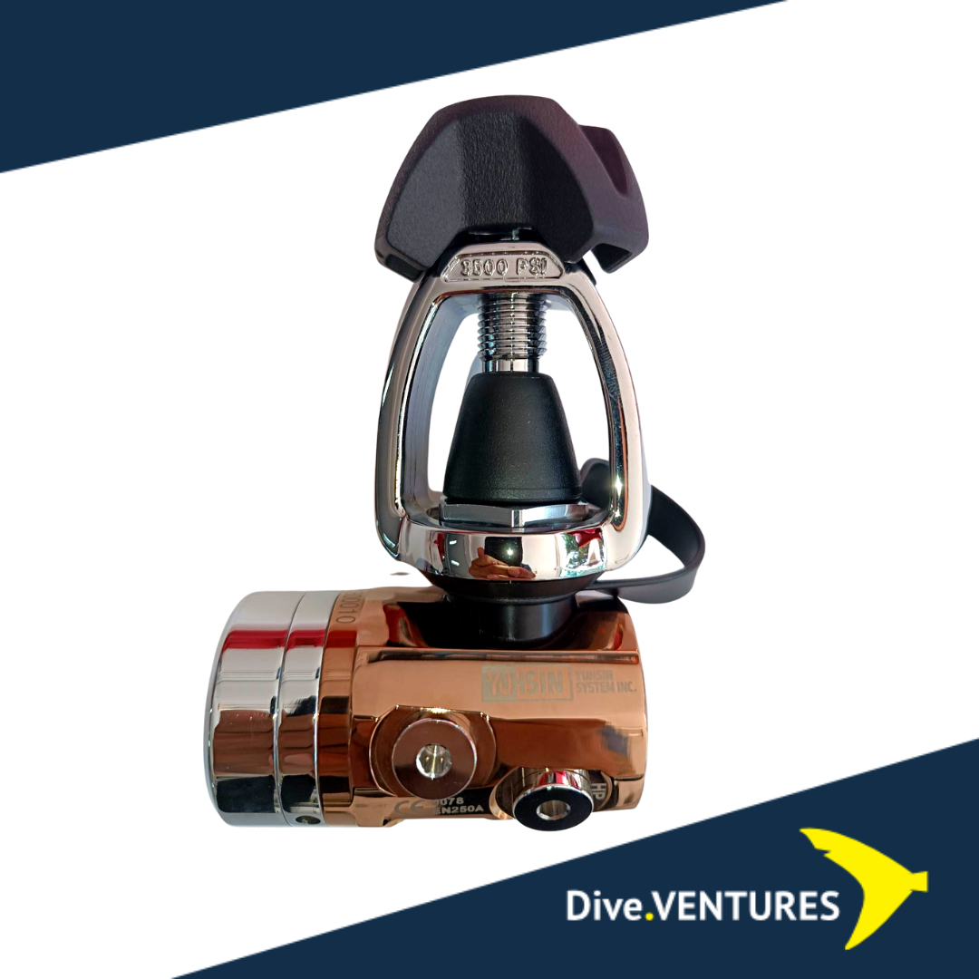 IVY YOKE/PVD Rose Gold/ENV