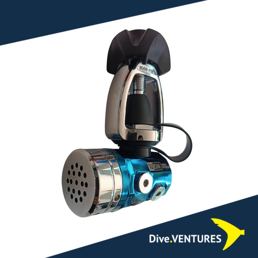 IVY YOKE/PVD Blue/ENV