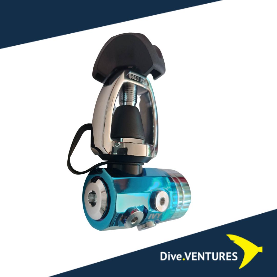 IVY YOKE/PVD Blue/ENV