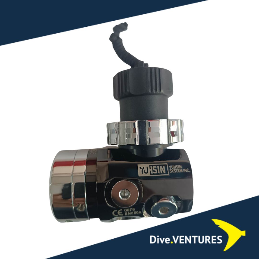 IVY DIN/PVD Black/ENV