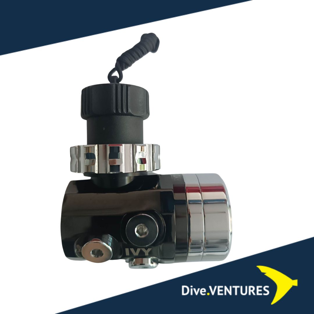 IVY DIN/PVD Black/ENV