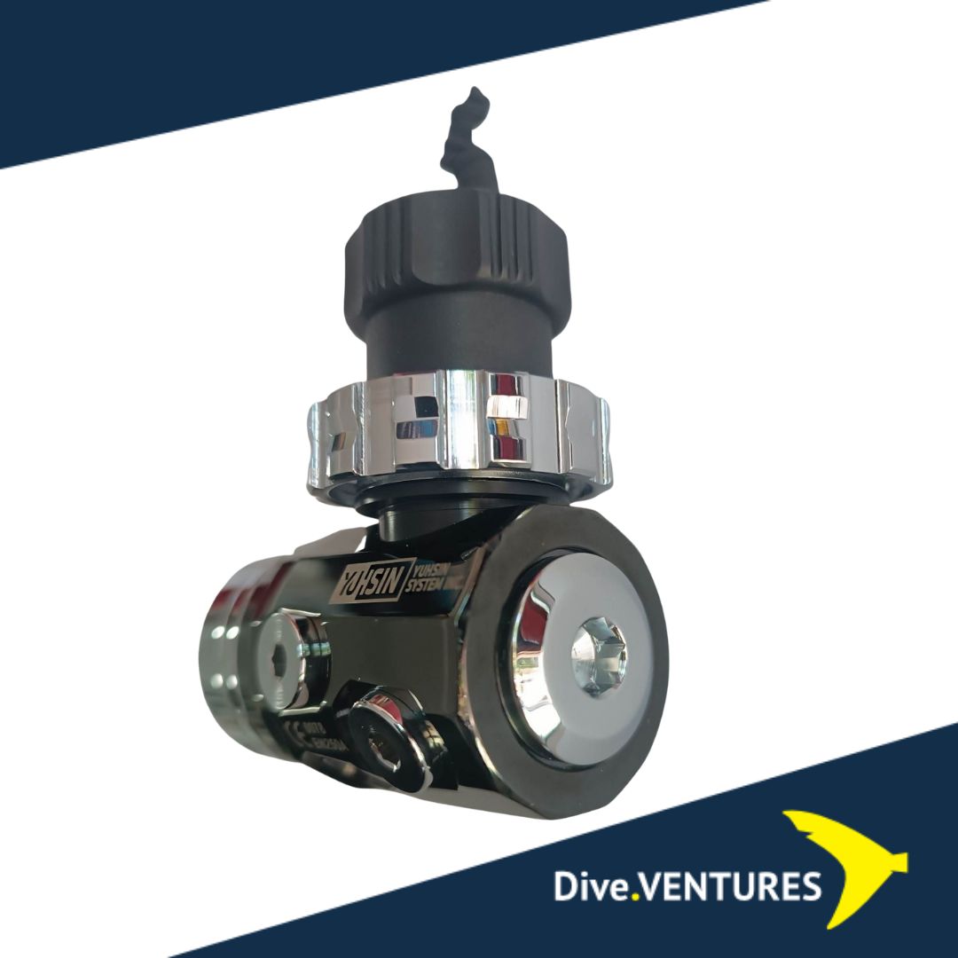 IVY DIN/PVD Black/ENV