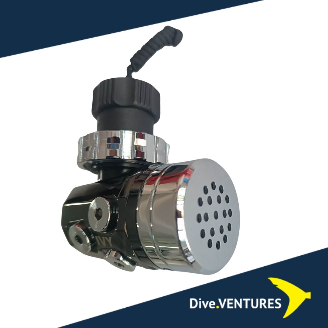 IVY DIN/PVD Black/ENV