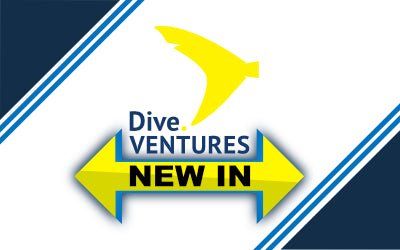 New Product Instock | Dive.VENTURES