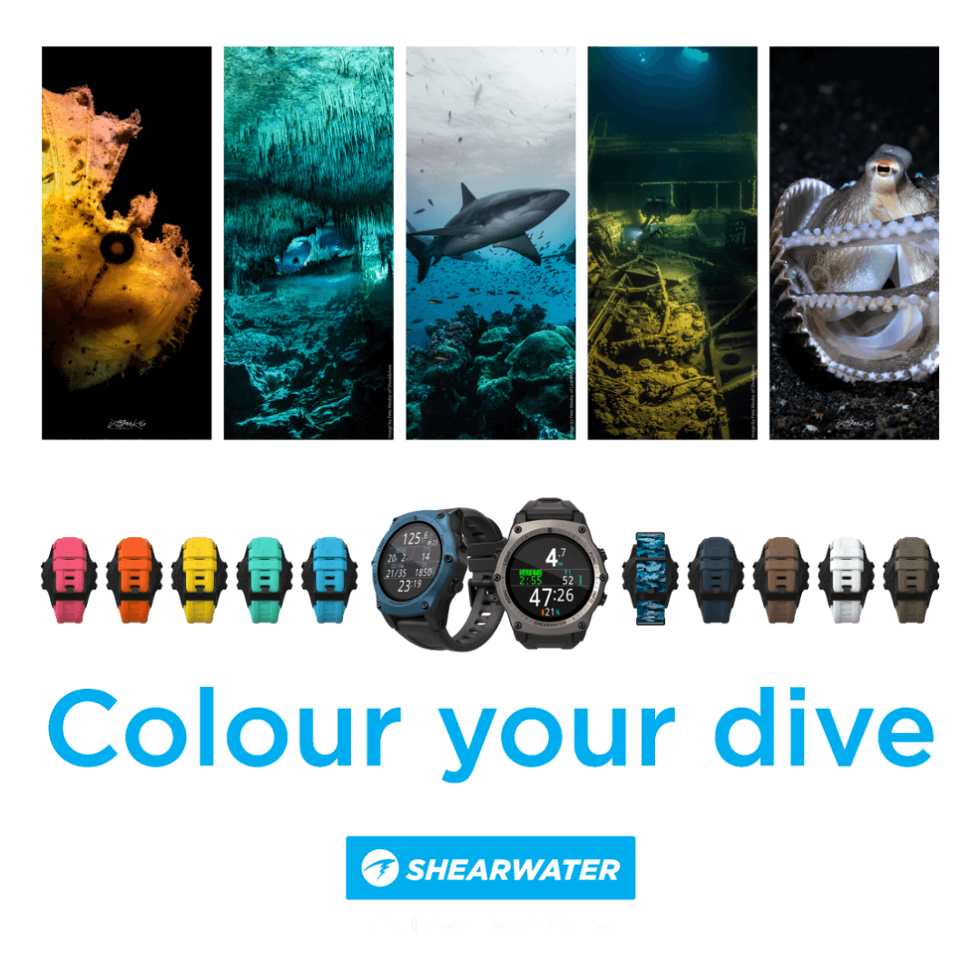 Shearwater Teric Replace Strap Colors | Dive.VENTURES
