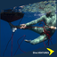 Octopus Freediving XL Pulling Systems - Dive.VENTURES