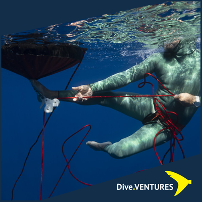Octopus Freediving XL Pulling Systems - Dive.VENTURES