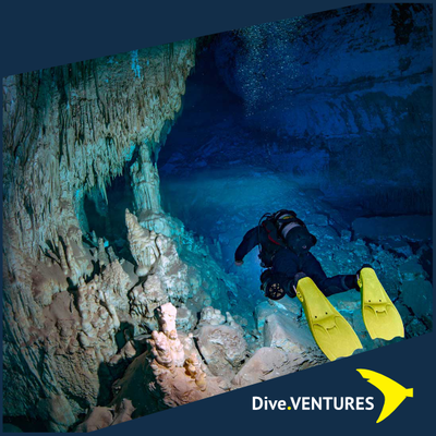 Hollis F-1 LT Fin - Dive.VENTURES